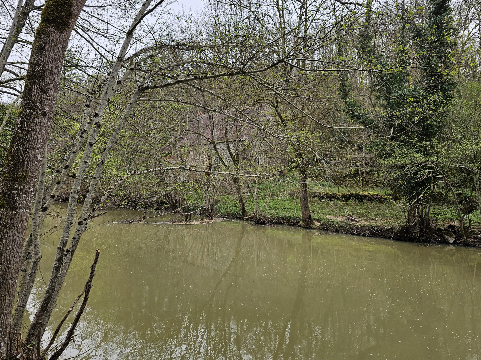 vente maison SEMUR EN AUXOIS